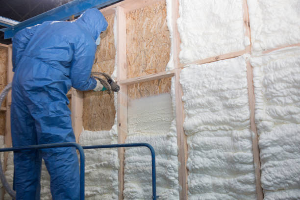 Best Blown-In Insulation  in Bemidji, MN